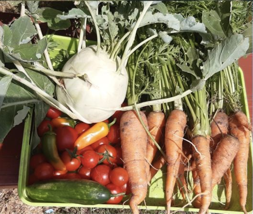 Bildschirmfoto 2025-03-18 um 13.42.35