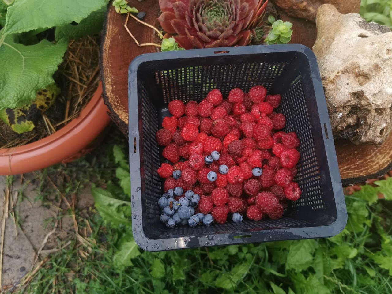 photo_5344068321848444473_y