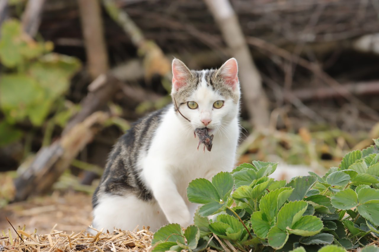 photo_5469894066004157396_y