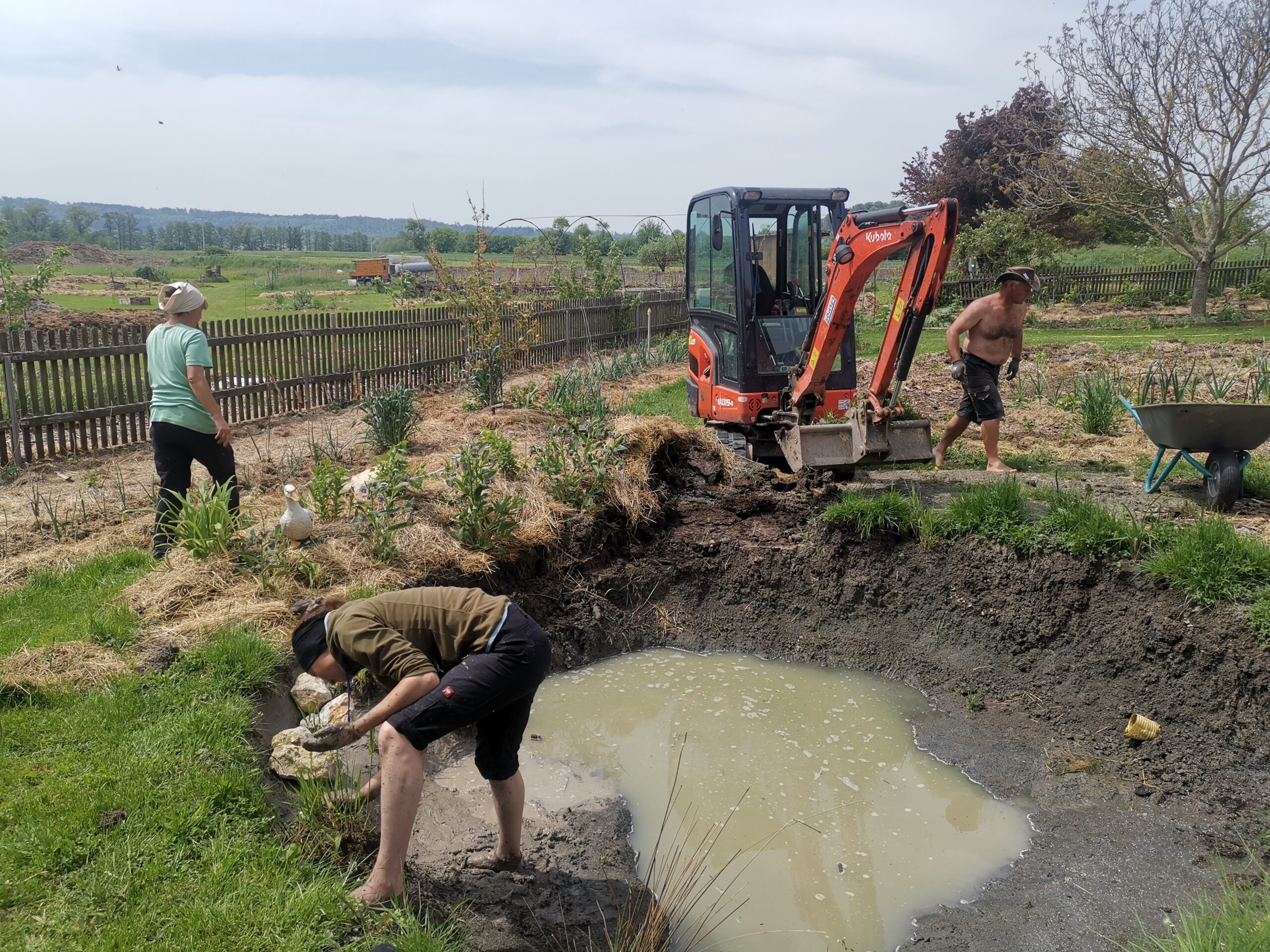 projekt-gartenteich-01