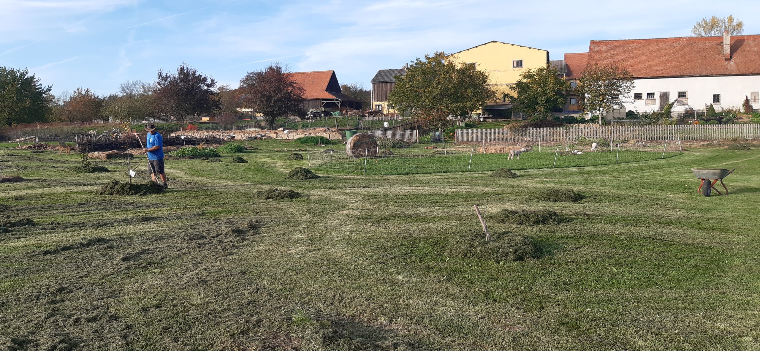 start-aufbau-wiese-01