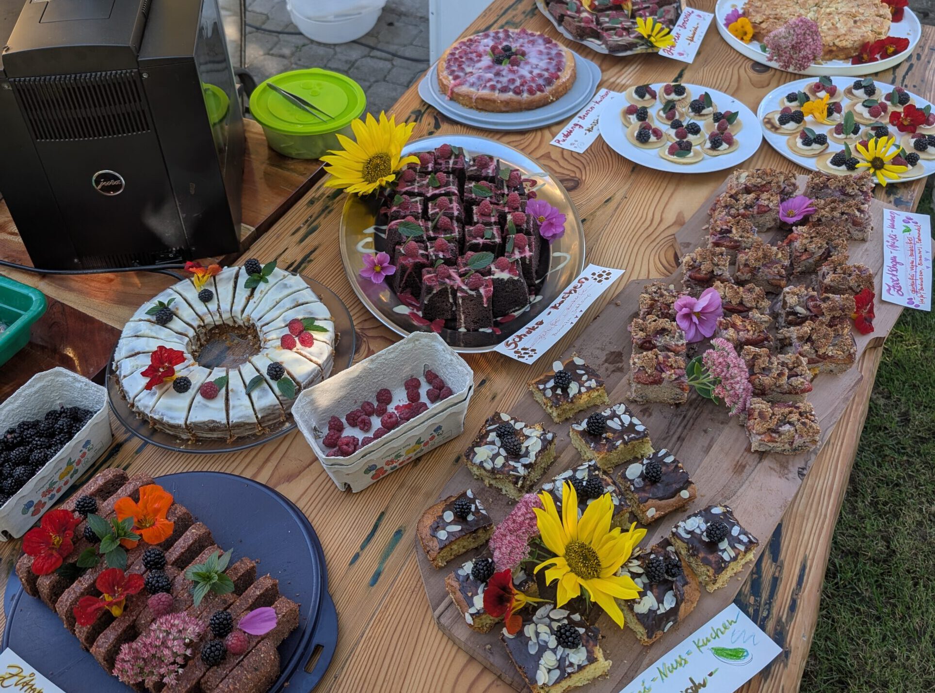 PXL_20250920_081607548