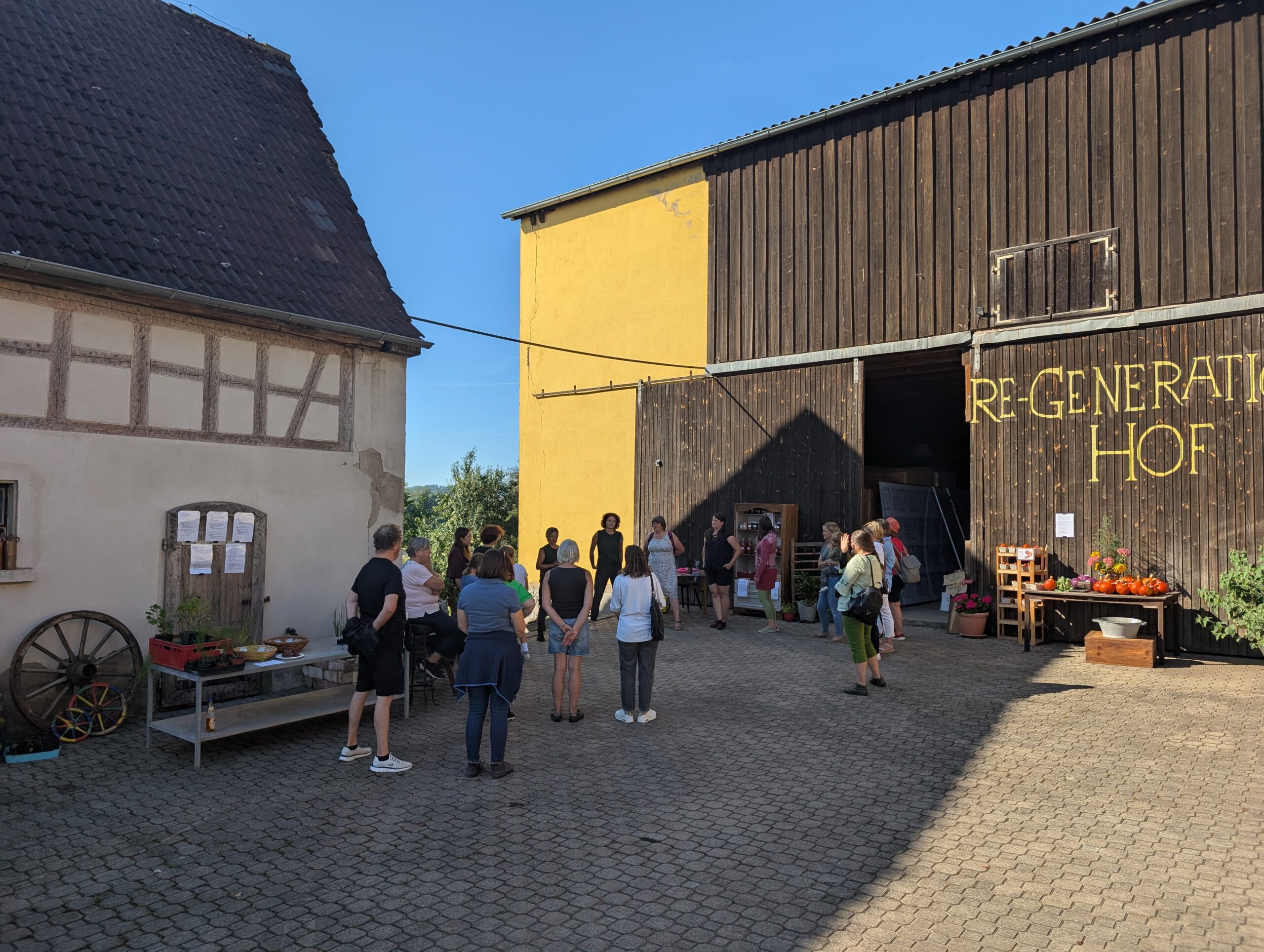 PXL_20250920_090143631