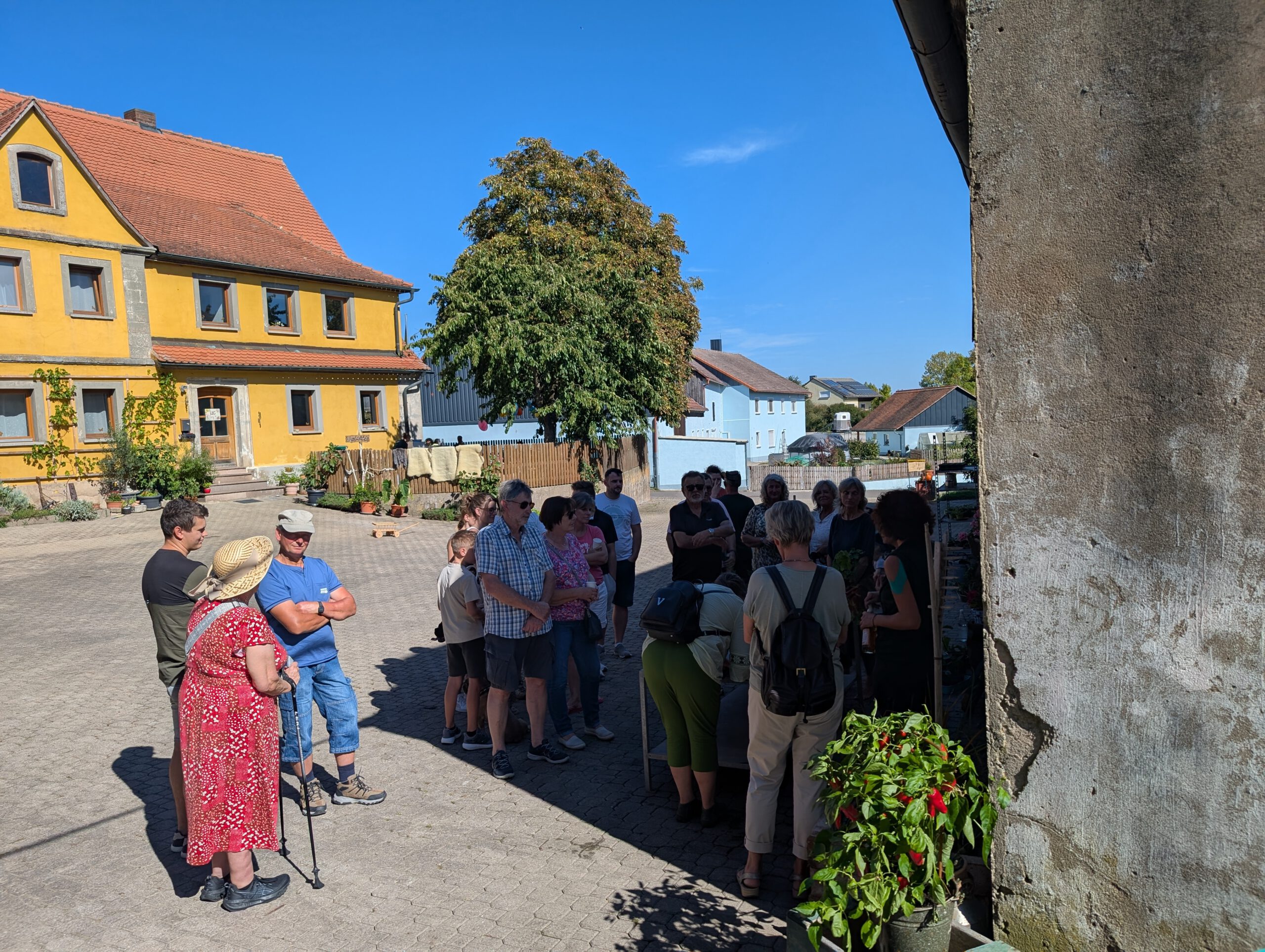 PXL_20250920_121401060