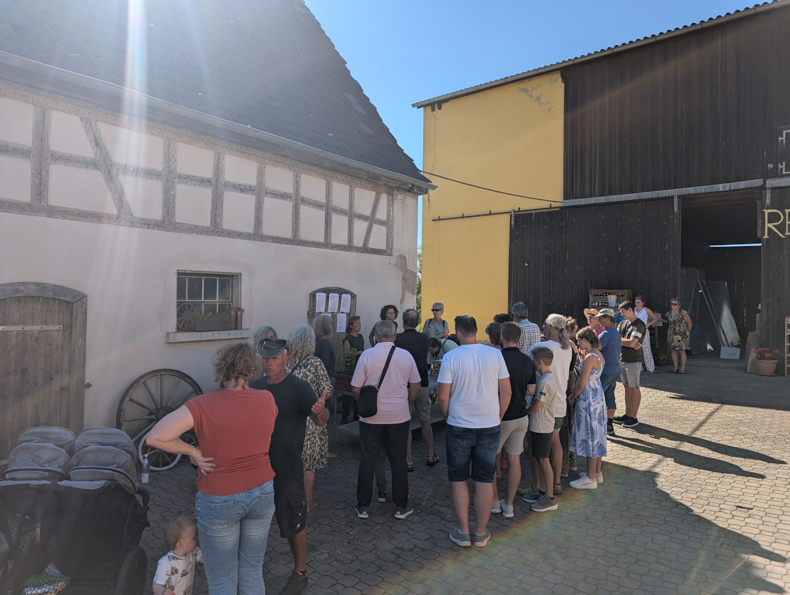 PXL_20250920_121418124